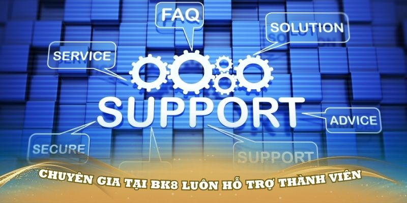 Các chuyên gia tại BK8 luôn hỗ trợ thành viên tốt nhất